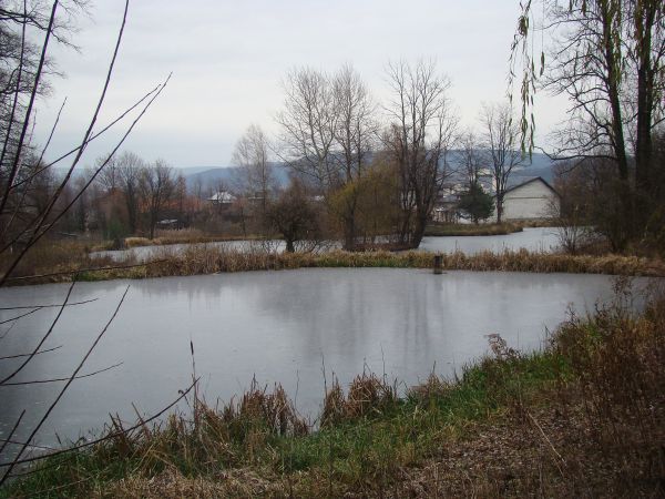 stawy dworskie, zapraszam do galerii: Posada Zarszyńska, Jurowce, Posada Jaćmierska - tam też o stawach...