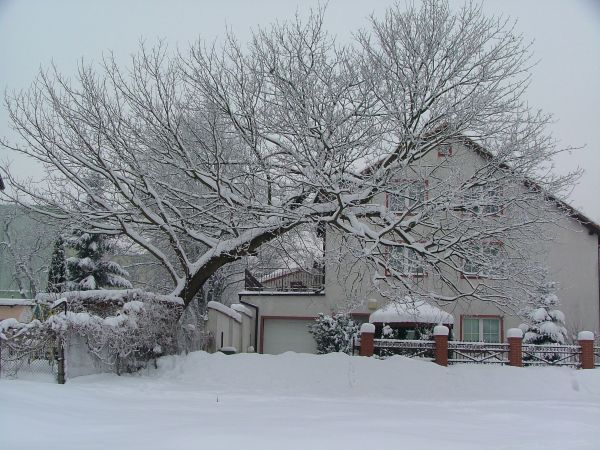 To zdjęcie wykonano w Kętrzynie.