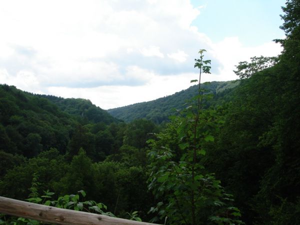 Ojcowski Park Narodowy.-

http://www.ojcow.pl/index_1.htm