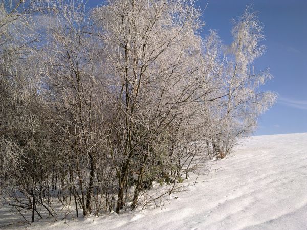 Różanka - żółtym szlakiem na Bochniak (713 m n.p.m.)