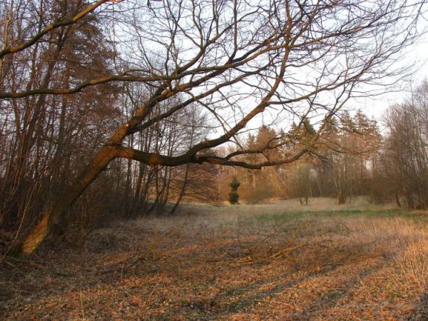 Dolina  rzeki Glaźnej