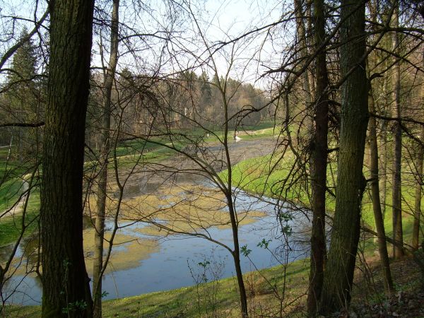 Marzec 2007   -  Okolice Sanatorium Gryf