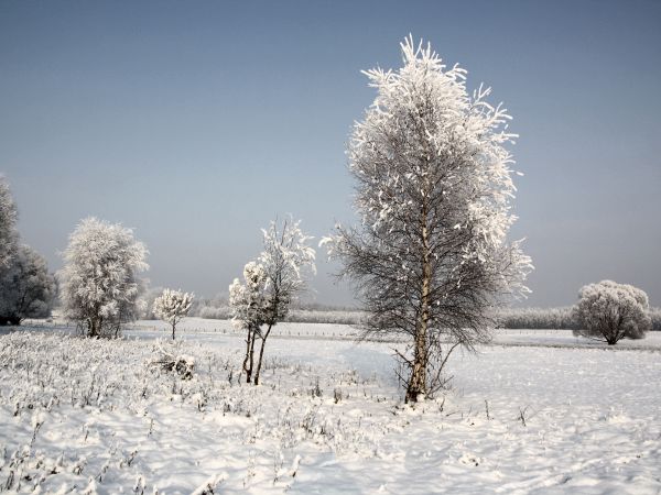 zdjecie Tyniewicze Duże