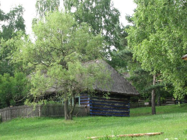 zdjecie Babice