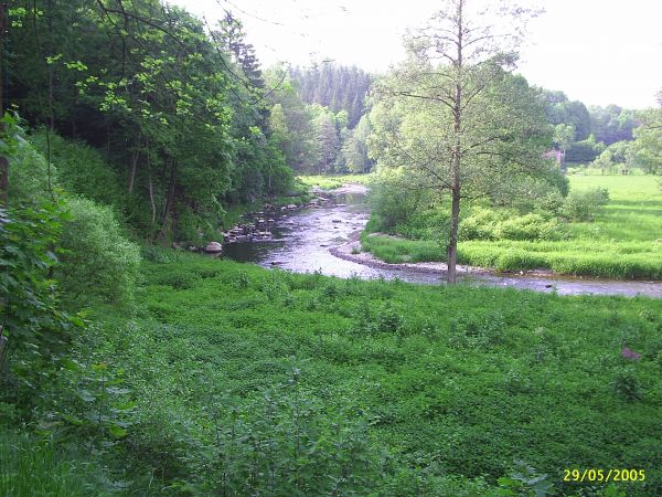zdjecie Janowice Wielkie