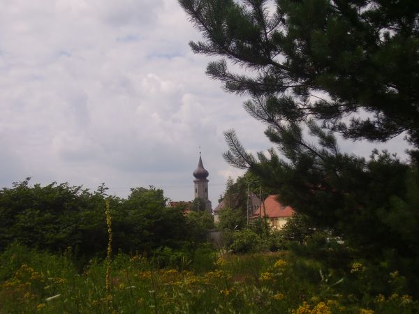 Panorama