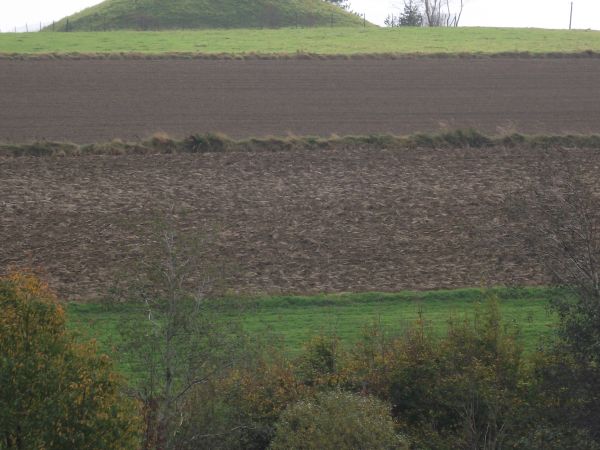 po lewej od drogi do Woli Jaworowej: wieża ciśnień - studnie głębinowe dla potrzeb zaopatrzenia sieci wodociągowej terenu gminy. Woda w gminie jest wartością ce
