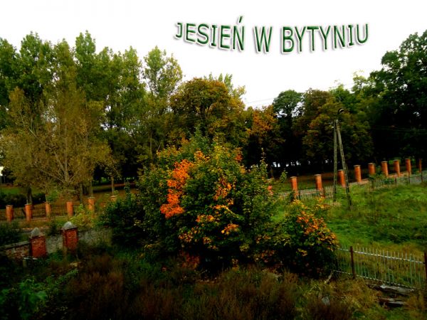 Jesienny widok.