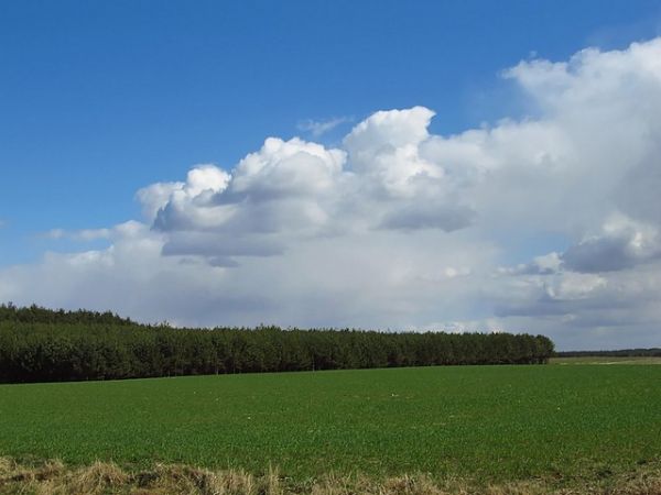 Czy będą plony tego lata?