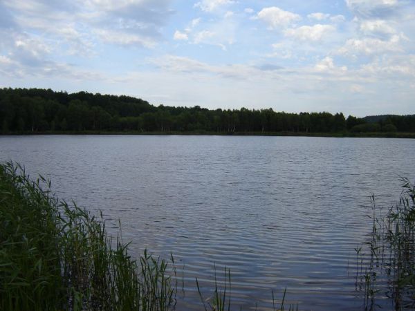 Jezioro Wapno, tuż obok Tyczewa.