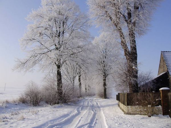 zdjecie Krzyżanowice