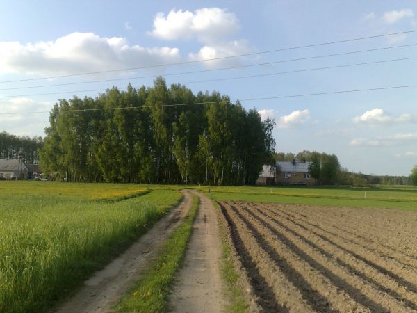 zdjecie Borawskie-Awissa