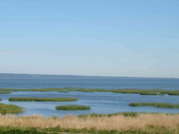 Zalew Wiślany w Skowronkach