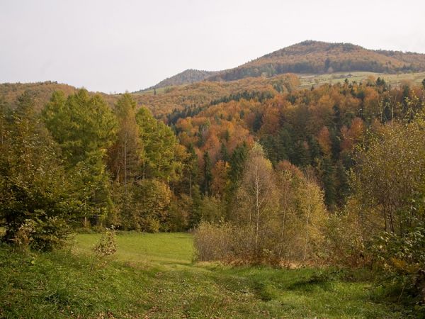 Jesień w Życzanowie-Rytro