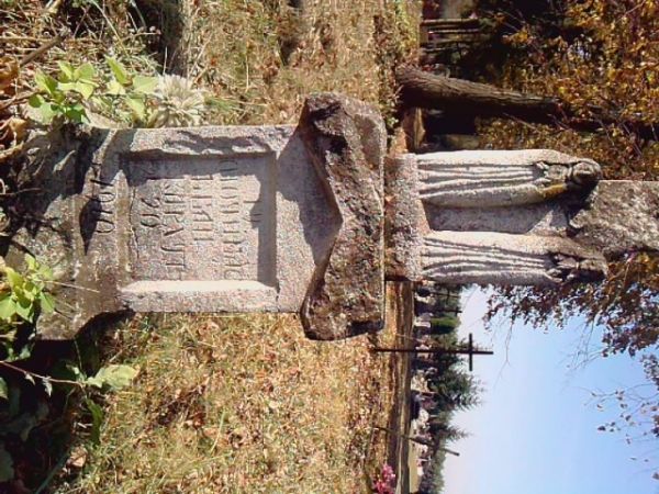 zdjecie Miękisz Stary