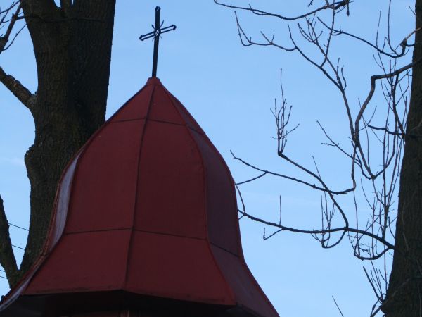 Fot. Ewa Kamila Jabłońska