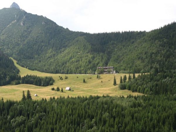 KALATóWKI