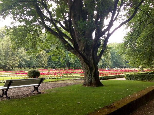 Park-Pałac w Kozłówce – zespół pałacowo-parkowy rodziny Zamoyskich, we wsi Kozłówka, która leży w północnej części województwa lubelskiego, 9 km na zachód od Lu