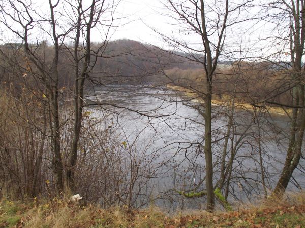 w sektorze parku pałacowego, na stromej skarpie nad samym Sanem - w dole malownicza panorama na jego dolinę, n/z widok na Grodzisko w m. Hoczew - zapraszam do g