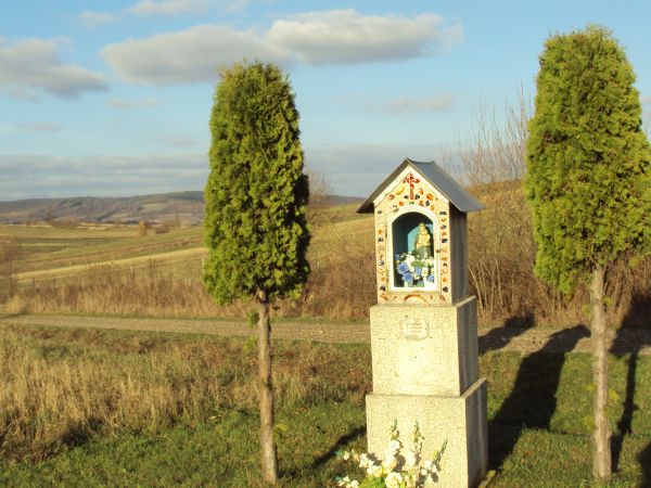 przy drodze do Dudyniec - "na Szczepówce" : kapliczka dziękczynna - w niszy figurka Matki Bożej z Dzieciątkiem.