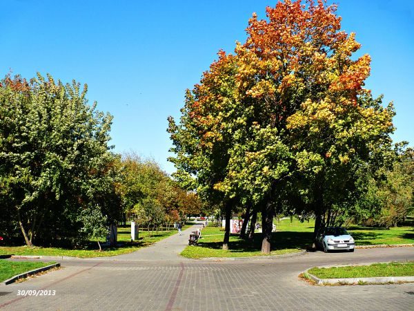 Park na Dolnej Syberce - Będzin
