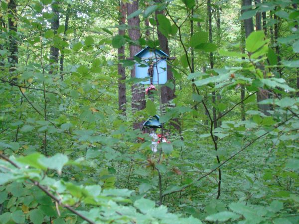 przydrożny krzyż i kapliczka - może wotywna a może dla ubogacenia szlaku pątniczego do Kalwarii Pacławskiej  - zadbane, ukwiecone, zaskakujące miejscem ekspozyc