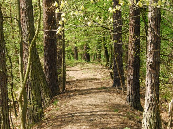 zdjecie Tworóg Mały