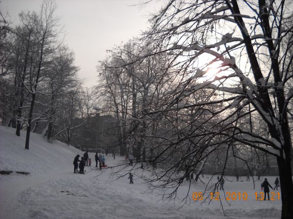 zdjecie Sosnowiec
