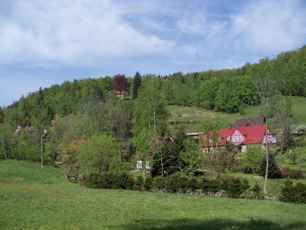 Zbocze góry...Grzybowiec