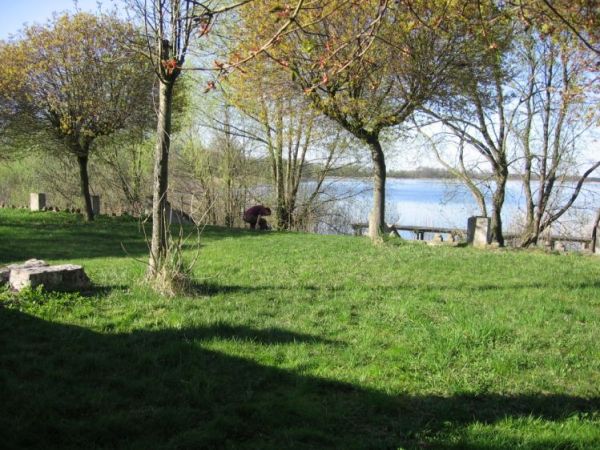 Widok z tarasu pałacu