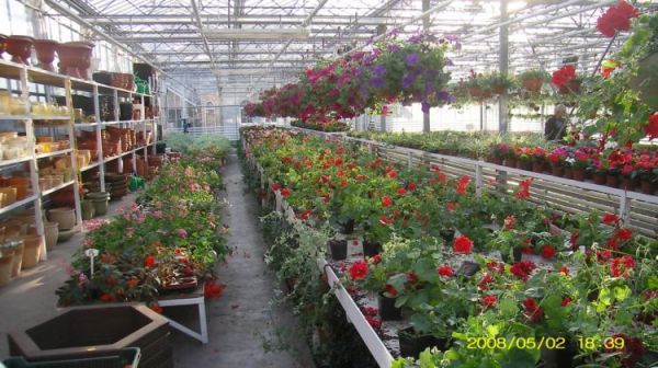 Leszno - centrum ogrodnicze