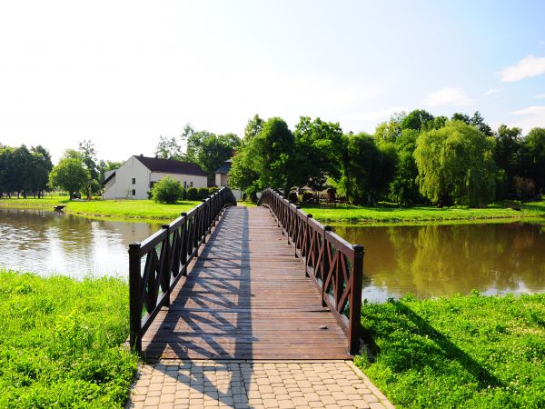 zdjecie Kończyce Małe