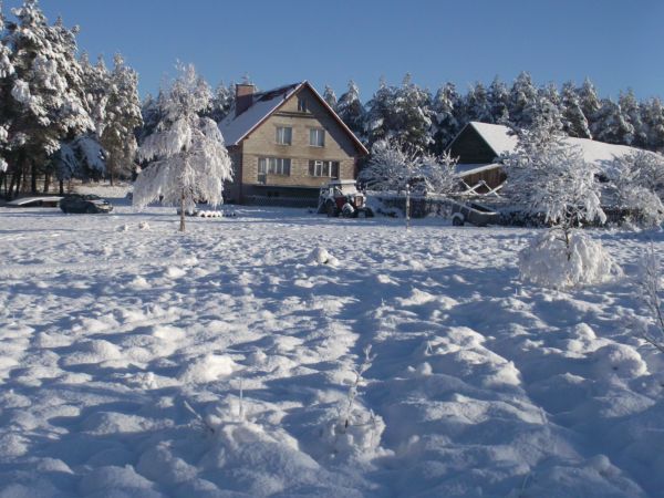 Agro "Wieczorne Mgły"