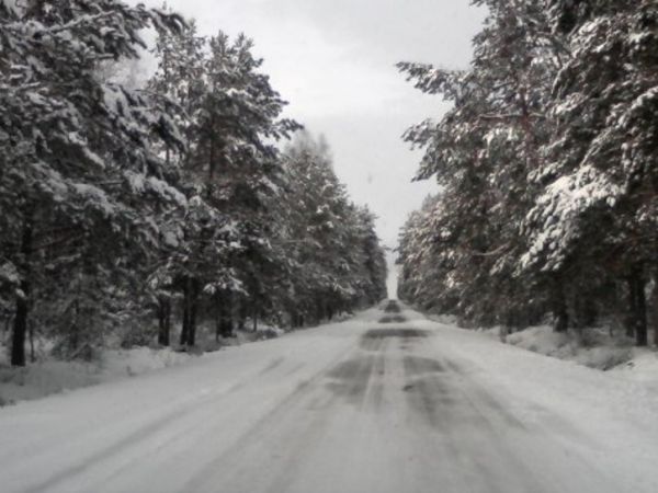 Trasa Włodawa- Stary Brus