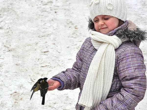 Busko-Zdrój, ptaki w parku uzdrowiskowym.