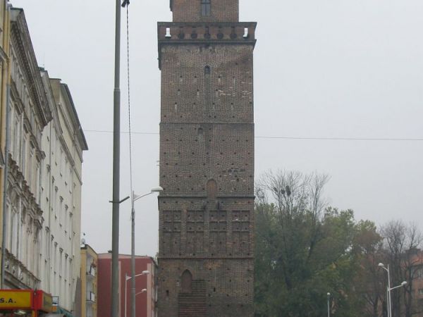 Wieża Bramy Ziębickiej