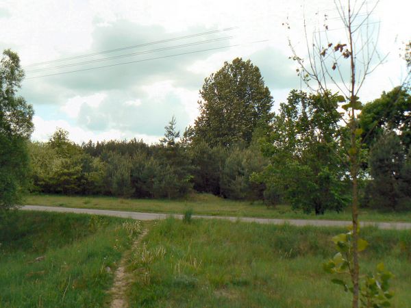 zdjecie Tyniewicze Duże