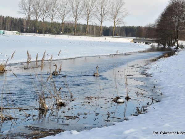 Wincenta – wieś w powiecie kolneńskim, w gminie Kolno.  
Kilometr na zachód od wsi przepływa rzeka Pisa, na północ - wpadająca do niej rzeczka Wincenta. Wzdłu