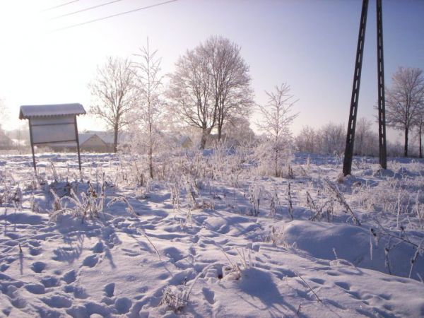 zdjecie Polska Wieś