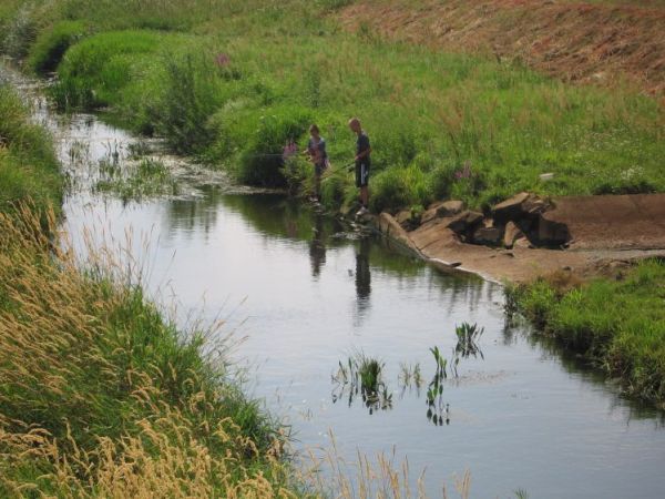 Żabnica rzeka koło Dąbrówek Breńskich