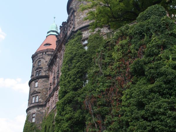 wieże i mury zamkowe - od strony prezentowanych ogrodów.