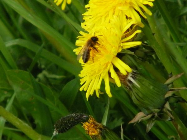 przegrany mecz 2 : 4 z Kwisą Świeradów Zdrój