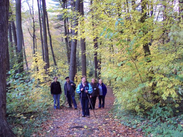 na wzgórze zamkowe - podchodzimy - od strony parkingu  /można i od strony bunkra z "Linii Mołotowa" - inne zbocze tej samej góry! - jest niebezpiecznie ! /. Prz