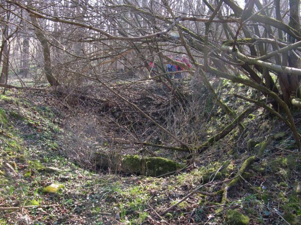kamienne podmurówki i piwnice, zdziczałe sady, ślady wskazujące na wioskowy majdan, słabo czytelny fundament cerkwi i cmentarz - od okolicznych mieszkańców słys