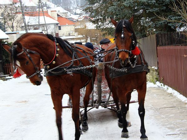 zdjecie Kazimierz Dolny