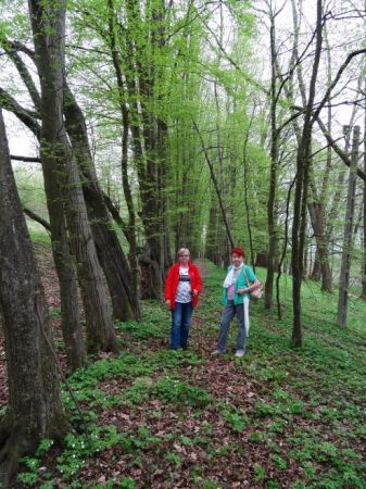 na alejkach parkowych, tędy też prowadziły trasy konnych przejazdów wierzchem, tędy ruszano na polowania itp.