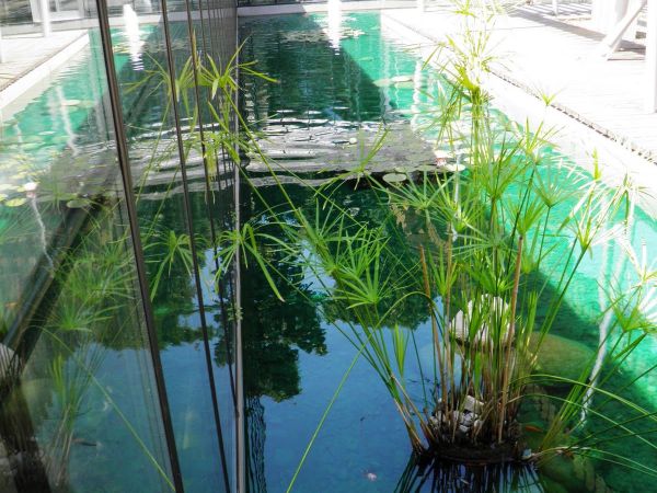 Zamek - Muzeum w Łańcucie. Storczykarnia