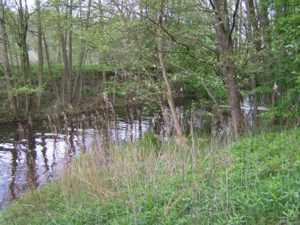 zdjecie Zalesie Górne