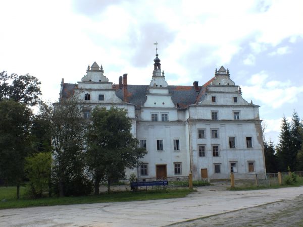 Pałac w Wilkowie WLK (remontowany)