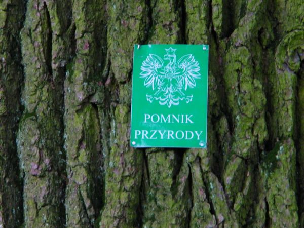 mała niespodzianka jak dla mnie jest więcej drzew co powinny mieć taką tabliczkę  we wsi